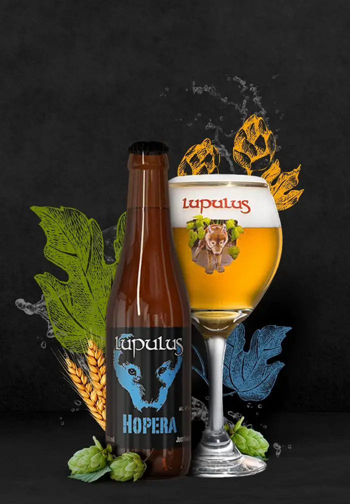 Montage Photoshop pour la bière Lupulus Hopera avec bouteille, verre et éléments végétaux