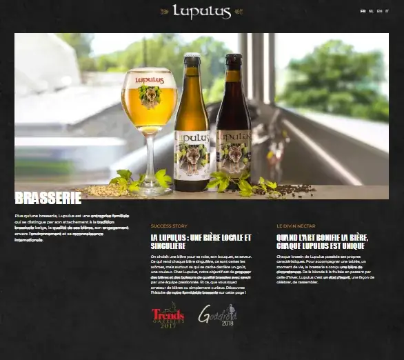 Capture d'écran d'une référence visuelle du site Lupulus